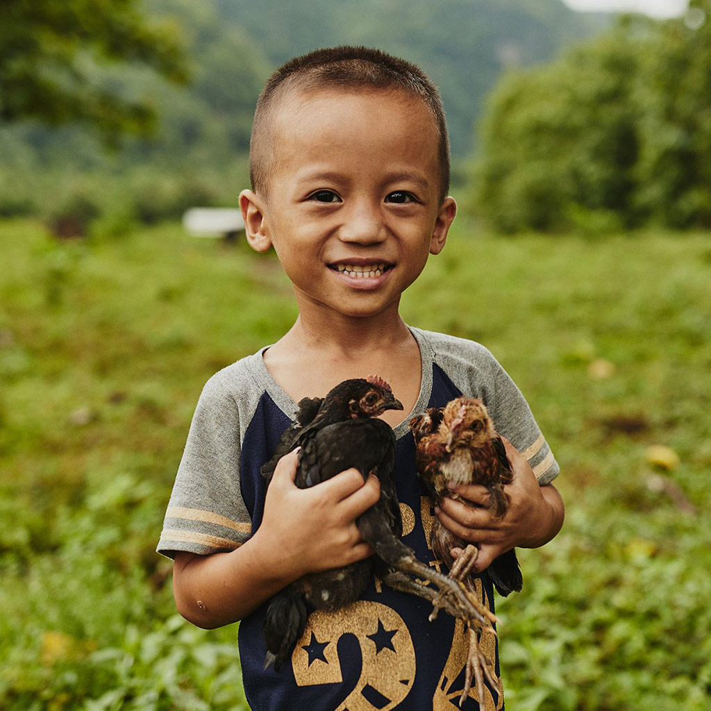 1024x1024_Compassion_3